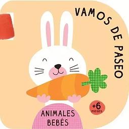 VAMOS DE PASEO. ANIMALES BEBES 