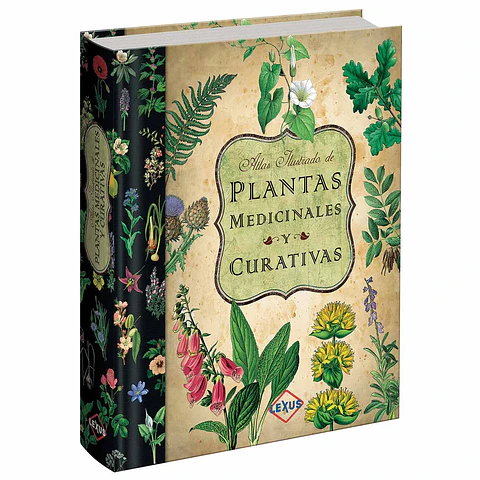 Atlas Ilustrado Plantas Medicinales y Curativas