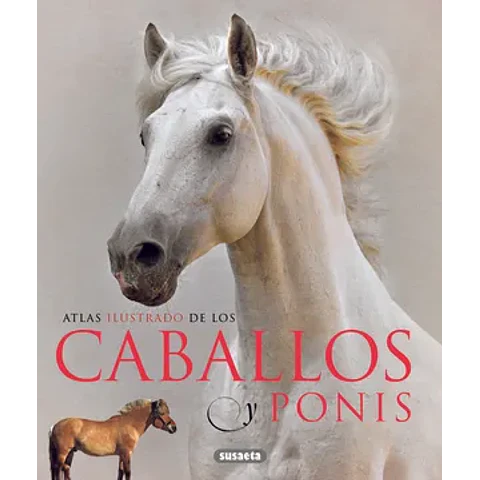 Caballos y Ponis