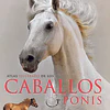 Caballos y Ponis