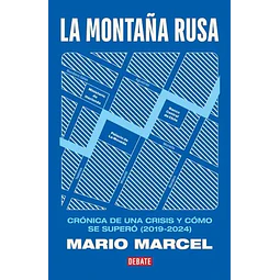 LA MONTAÑA RUSA