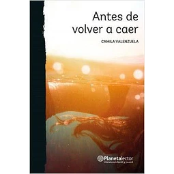 ANTES DE VOLVER A CAER