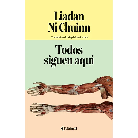 TODOS SIGUEN AQUI