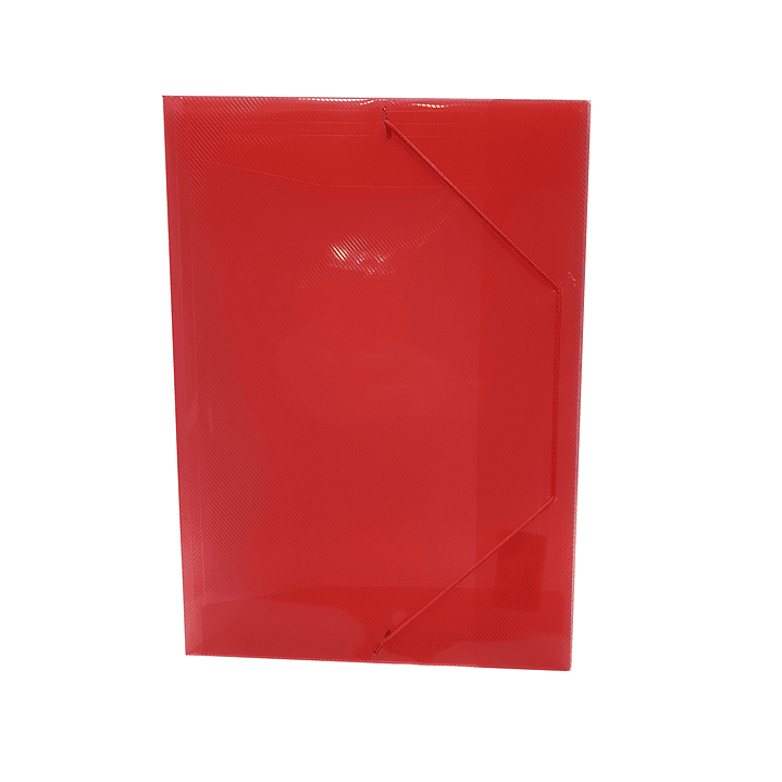 Carpeta plástica Tamaño oficio con elástico DingLi 8