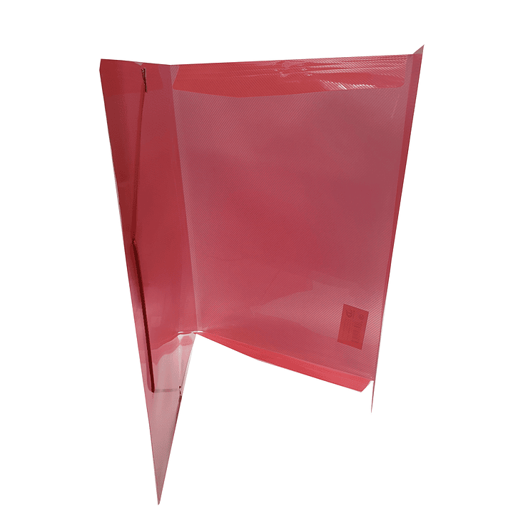 Carpeta plástica Tamaño oficio con elástico DingLi 9