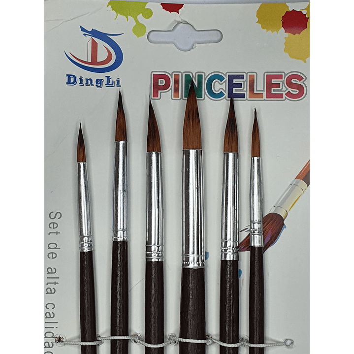 Set 6 pinceles redondos DingLi /10316 2