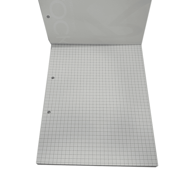 Block carta cuadriculado Rhein 80Hjs - Microprepicado - Perforado