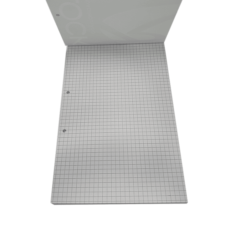 Block Oficio cuadriculado Rhein 80Hjs - Microprepicado - Perforado 2