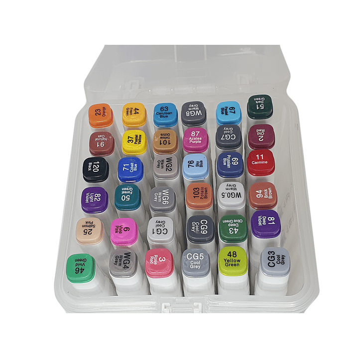 Pack 36 marcadores doble punta DingLi con estuche plástico /10732 2