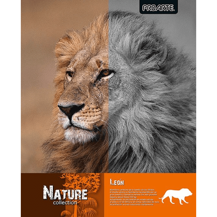 Pack 10 cuadernos universitarios Proarte Natura 2