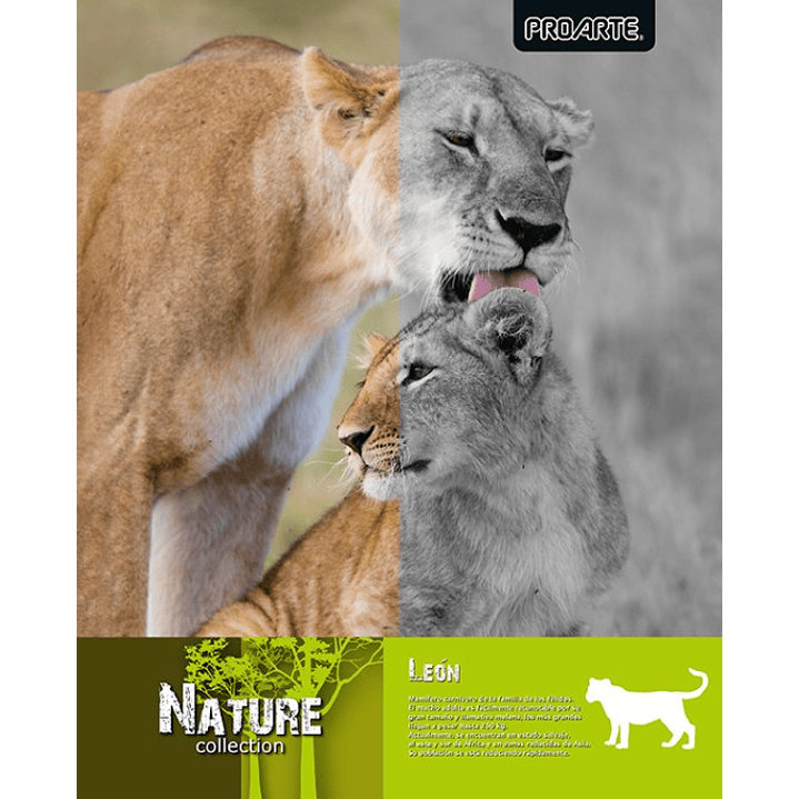Pack 10 cuadernos universitarios Proarte Natura 4