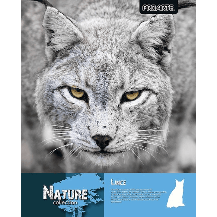 Pack 10 cuadernos universitarios Proarte Natura 5
