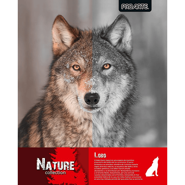 Pack 10 cuadernos universitarios Proarte Natura