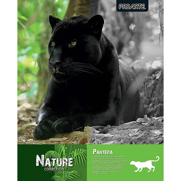 Pack 10 cuadernos universitarios Proarte Natura 8
