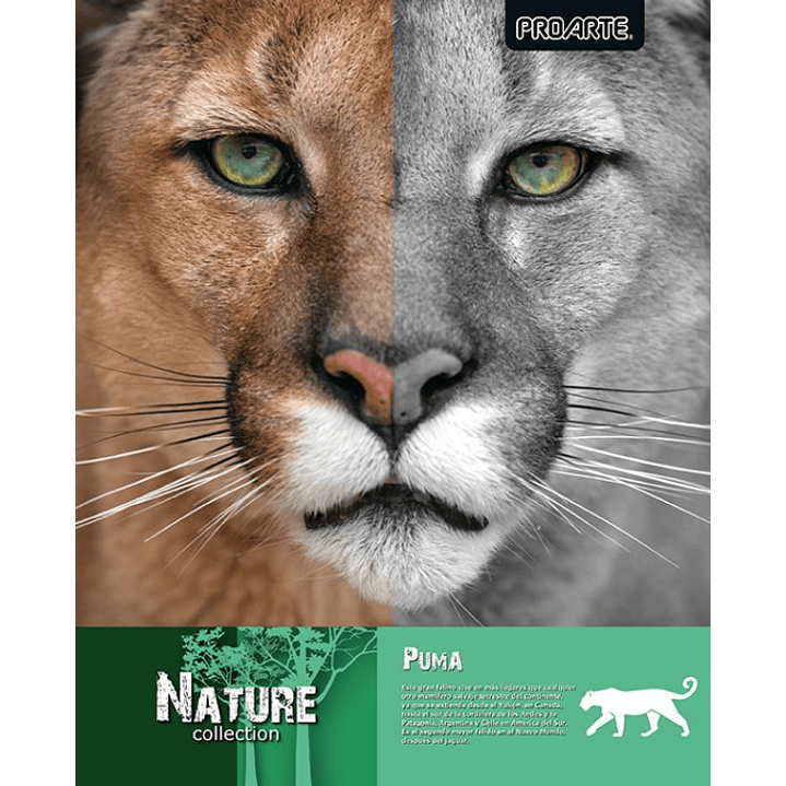 Pack 10 cuadernos universitarios Proarte Natura 11