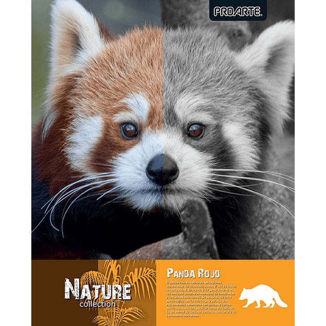 Pack 10 cuadernos universitarios Proarte Natura