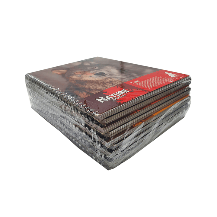 Pack 10 cuadernos universitarios Proarte Natura 1