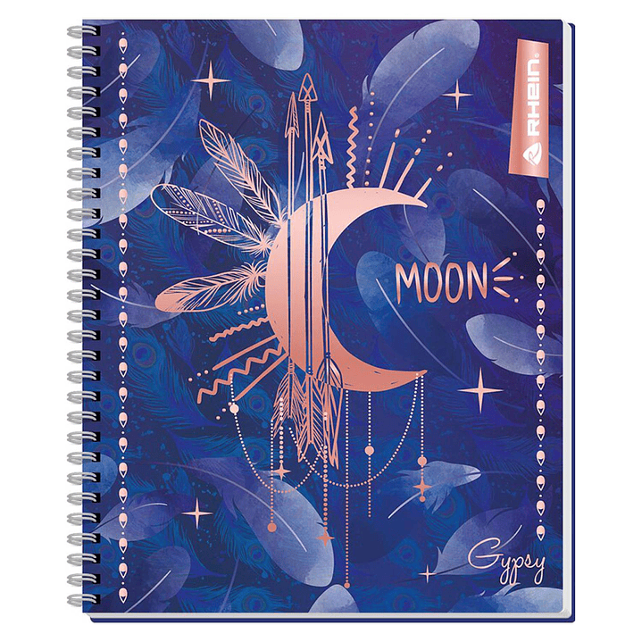 Pack 10 Cuadernos Universitario Gipsy RHEIN 6