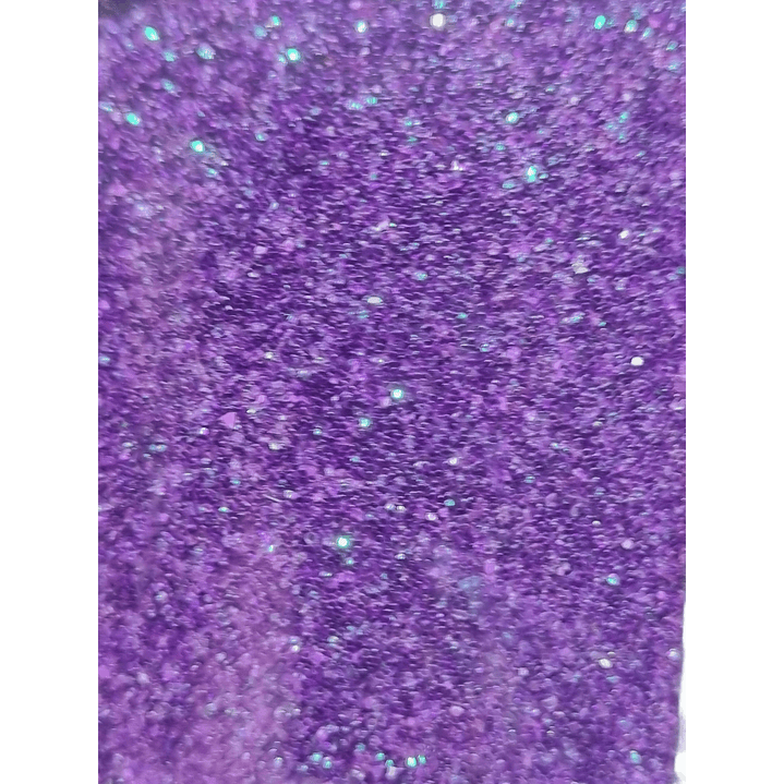 Set Escarcha 6 Colores Fluor 60 Gr 4