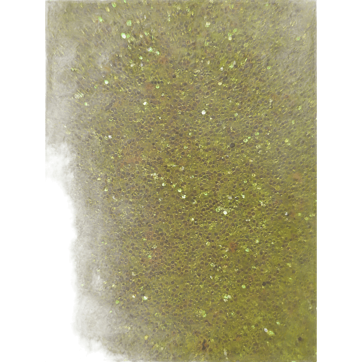 Set Escarcha 6 Colores Fluor 60 Gr 6