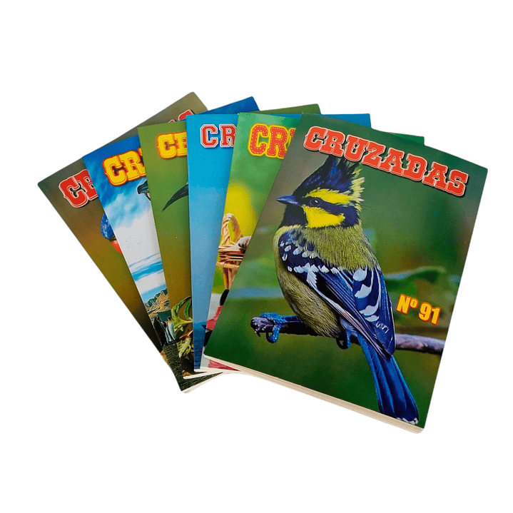 Crucigrama - Cruzadas 30 Hojas - 60 Desafíos. 1