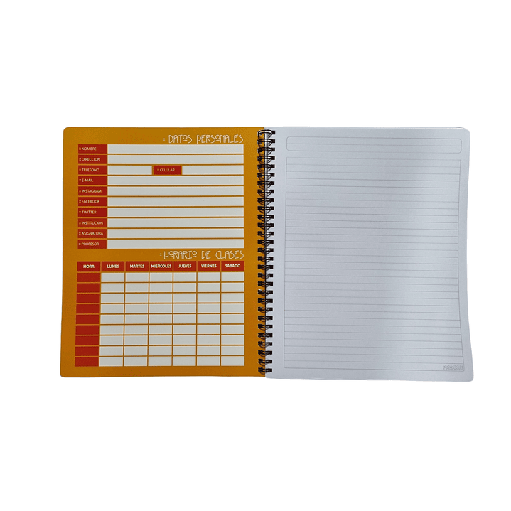 Pack 10 Cuadernos Universitarios Composición PROARTE  2