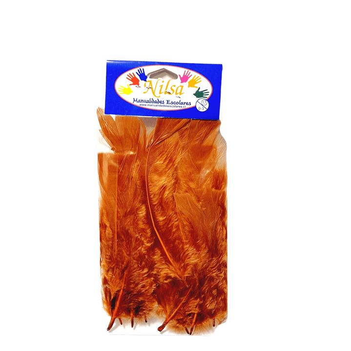 Plumas varios Colores a eleccion 2.5g /Nilsa 12