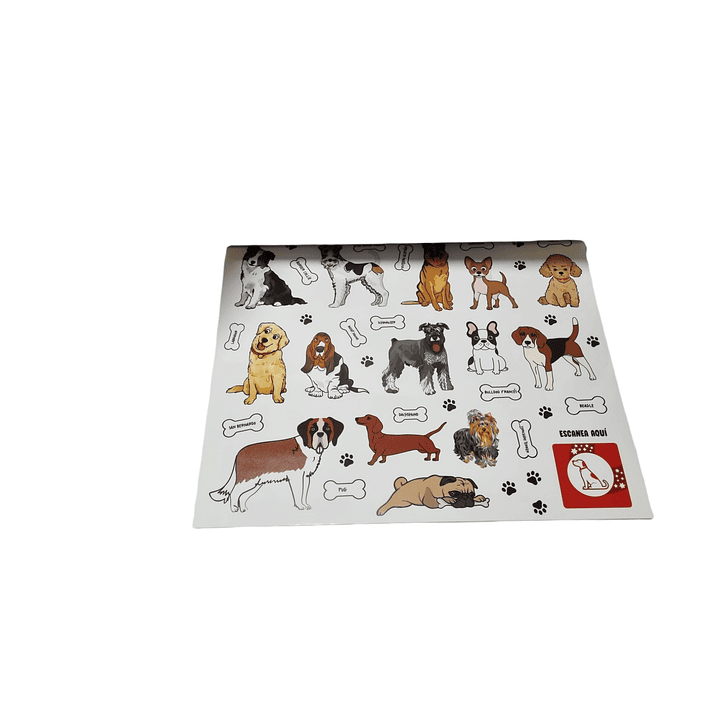 Divertí Block  Artel  Animales del mundo 2