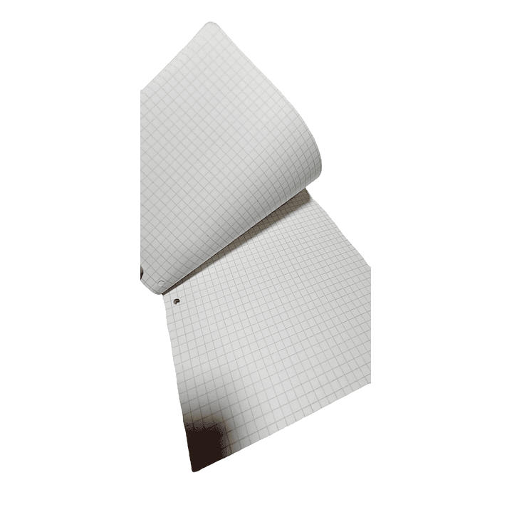 Block Prepicado Cuadriculado OFICIO Capriccio 2