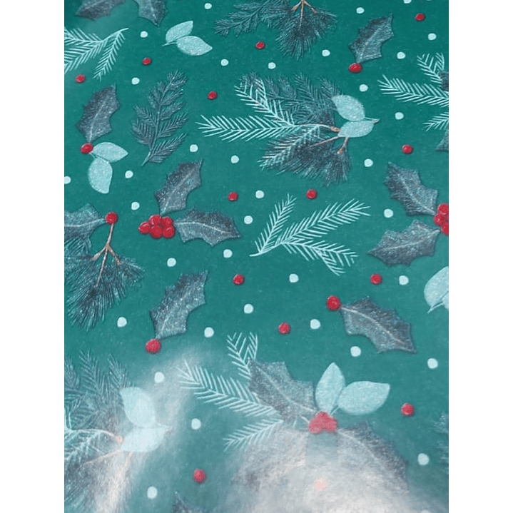 Papel de Regalo 70x190cms Varios Diseños 8