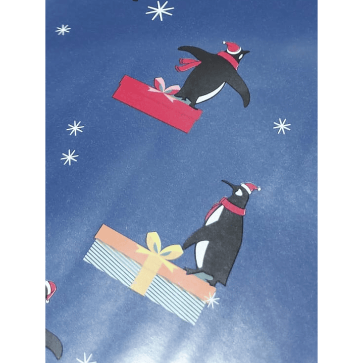 Papel de Regalo 70x190cms Varios Diseños 12