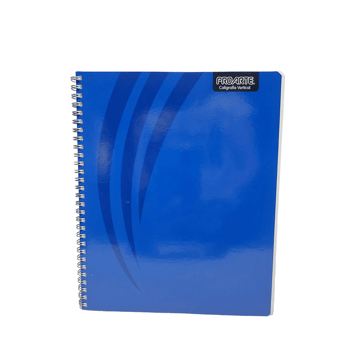 Cuaderno Universitario Proarte Caligrafia Vertical  1