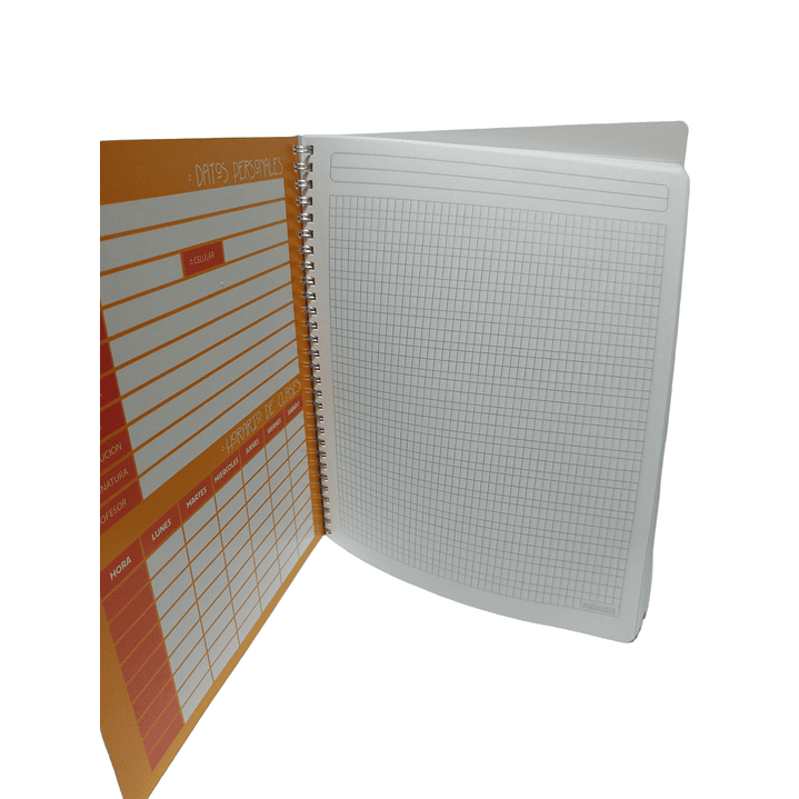 Cuaderno Universitario Proarte Caligrafia Vertical  2