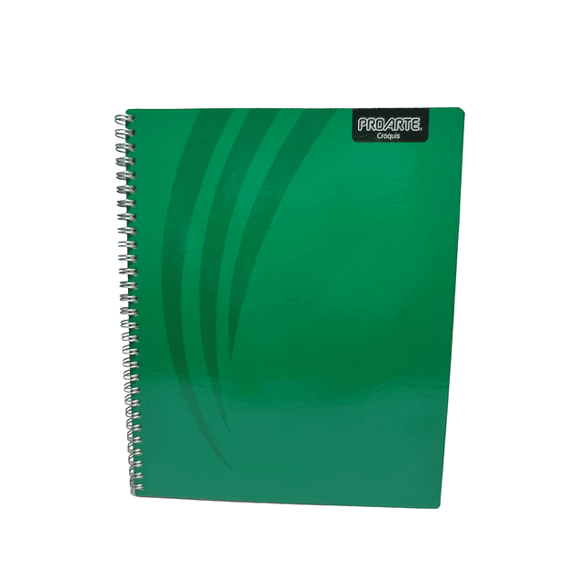 Cuaderno Universitario Proarte Croquis 100Hjs