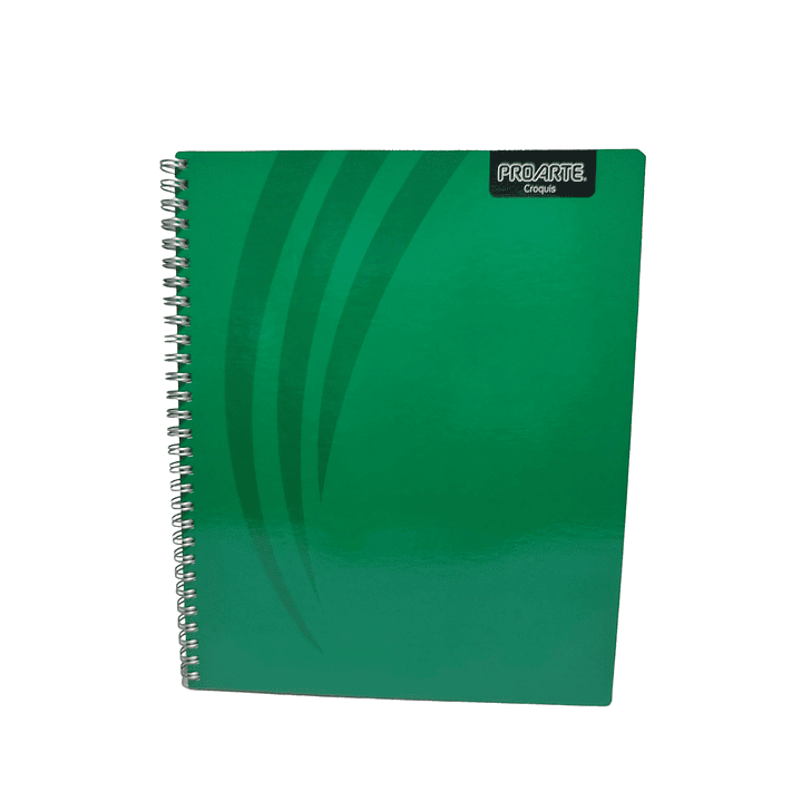 Cuaderno Universitario Proarte Croquis 100Hjs 1