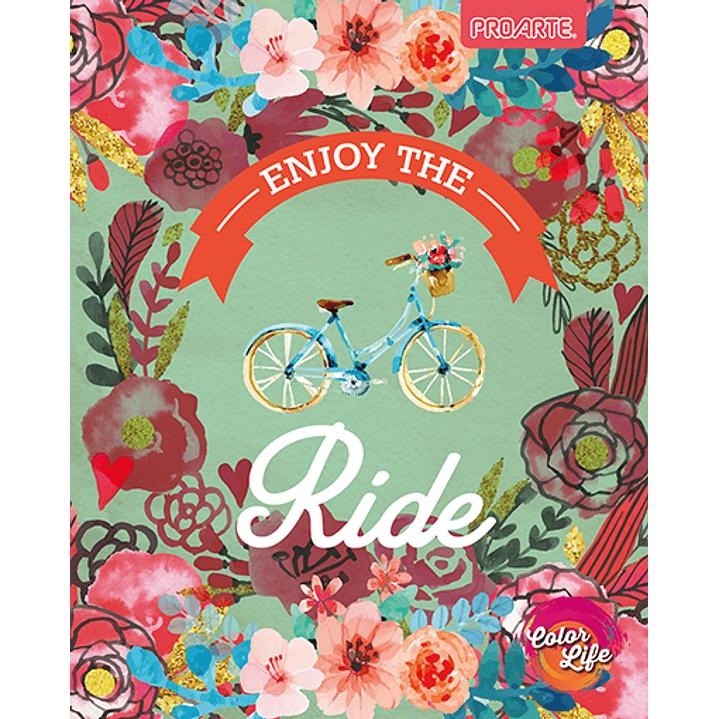 Pack 10 Cuadernos Universitarios Proarte 100hjs. Color Life 4