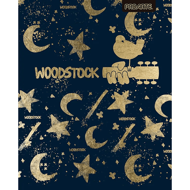 Pack 10 Cuadernos Universitarios Proarte 100hjs. Woodstock woman