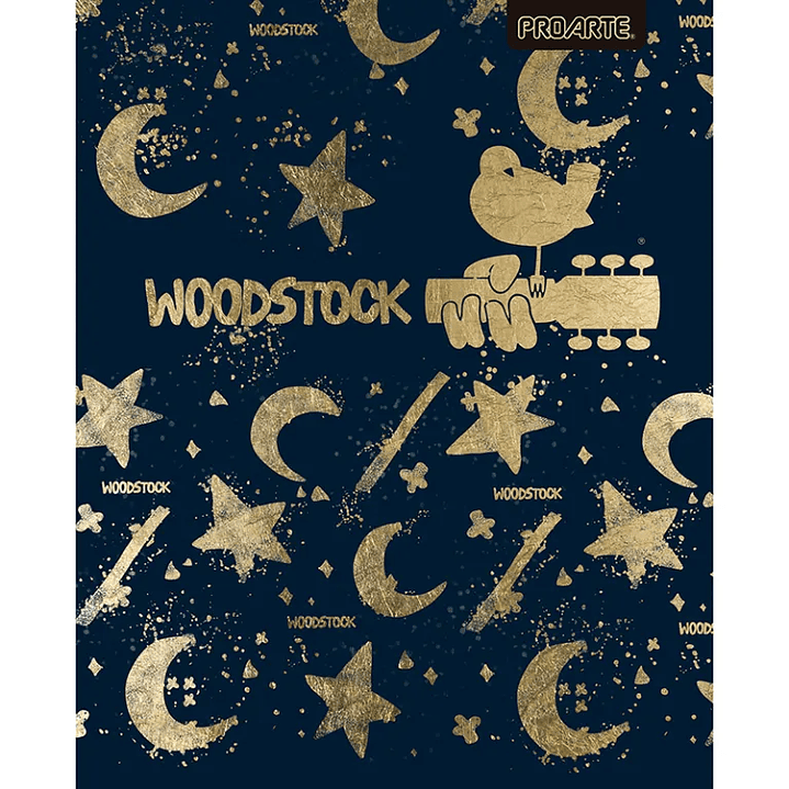 Pack 10 Cuadernos Universitarios Proarte 100hjs. Woodstock woman 3