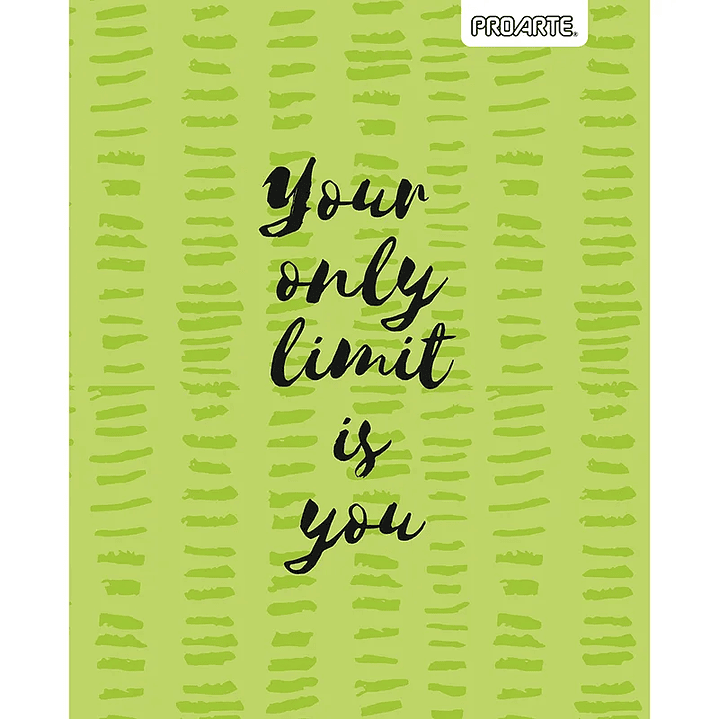 Pack 10 Cuadernos Universitarios PROARTE 100 hjs. Ideas 10