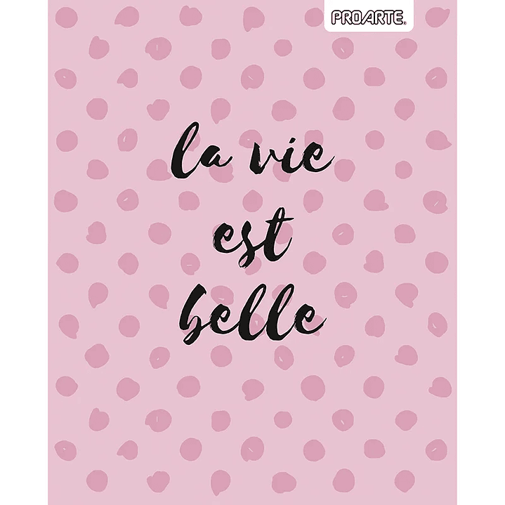 Pack 10 Cuadernos Universitarios PROARTE 100 hjs. Ideas 13