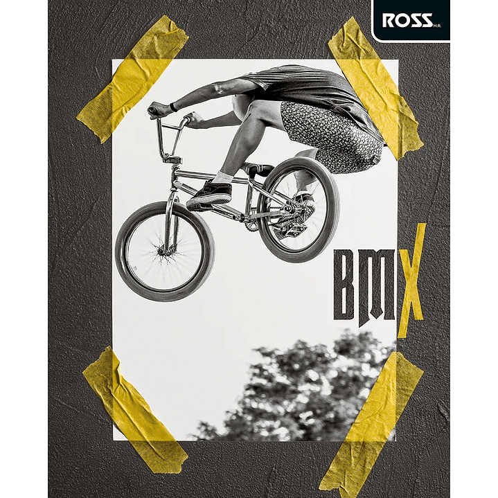 Pack 10 Cuadernos Universitarios ROSS 100hjs. Sport Kids 4