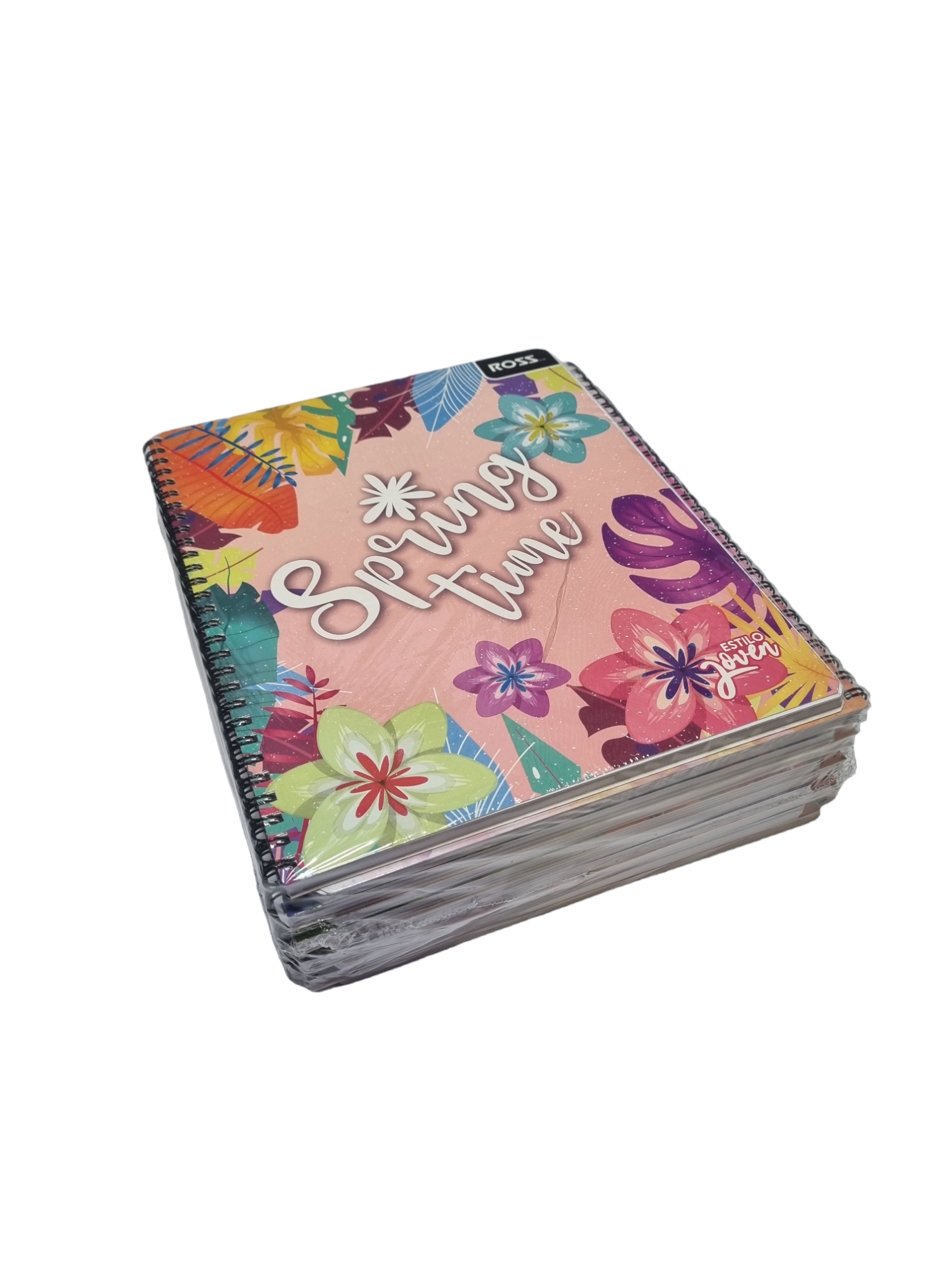Pack 10 Cuadernos Universitarios ROSS 100hjs. Estilo Joven