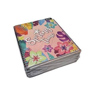 Pack 10 Cuadernos Universitarios ROSS 100hjs. Estilo Joven
