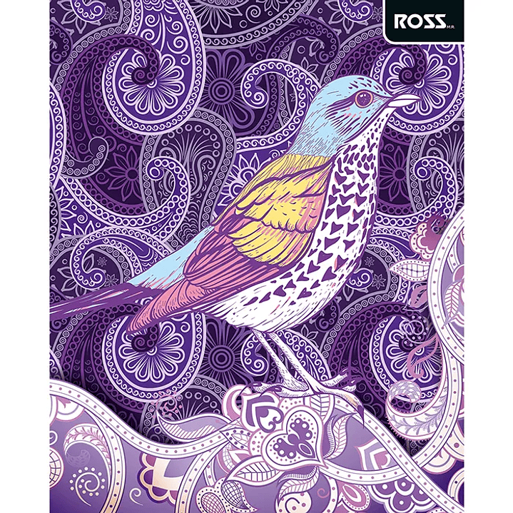 Pack 10 Cuadernos Universitarios ROSS 100hjs. Pattern 2