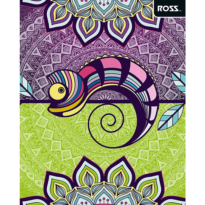 Pack 10 Cuadernos Universitarios ROSS 100hjs. Pattern 6