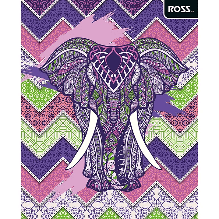 Pack 10 Cuadernos Universitarios ROSS 100hjs. Pattern 11