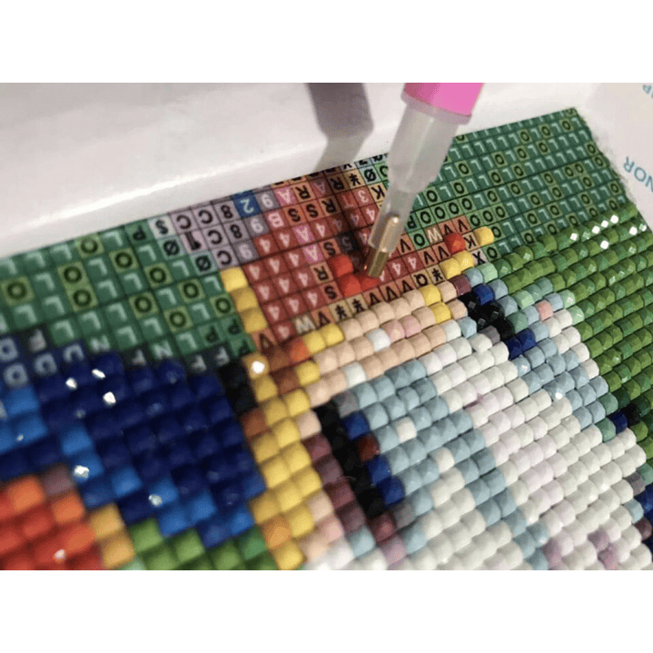 Kit De 5d Pintura Diamante - Diamond Painting 30x40cm 1