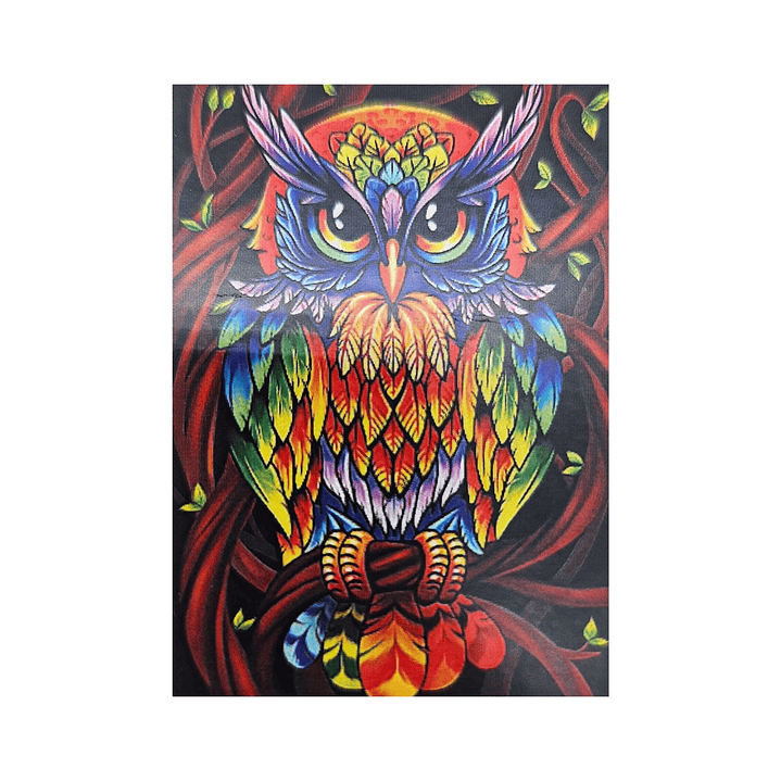 Kit De 5d Pintura Diamante - Diamond Painting 50x65cm 1