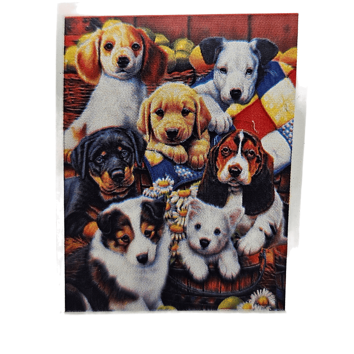 Kit De 5d Pintura Diamante - Diamond Painting 30x40cm 3