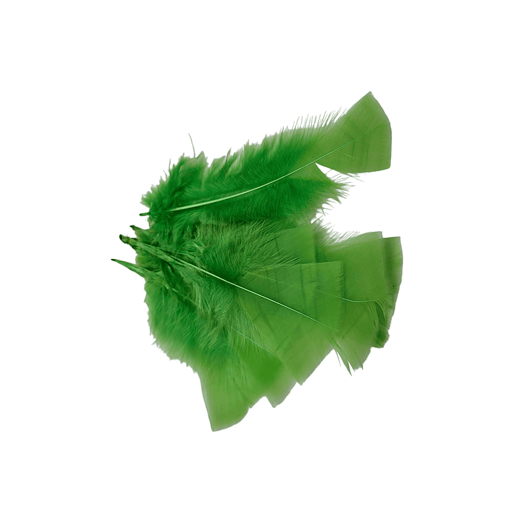 Plumas varios Colores a eleccion 2.5g /Nilsa 18